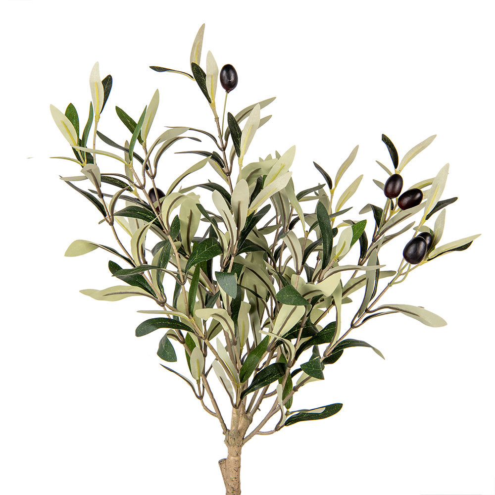 Pianta di ulivo artificiale Clayre & Eef
