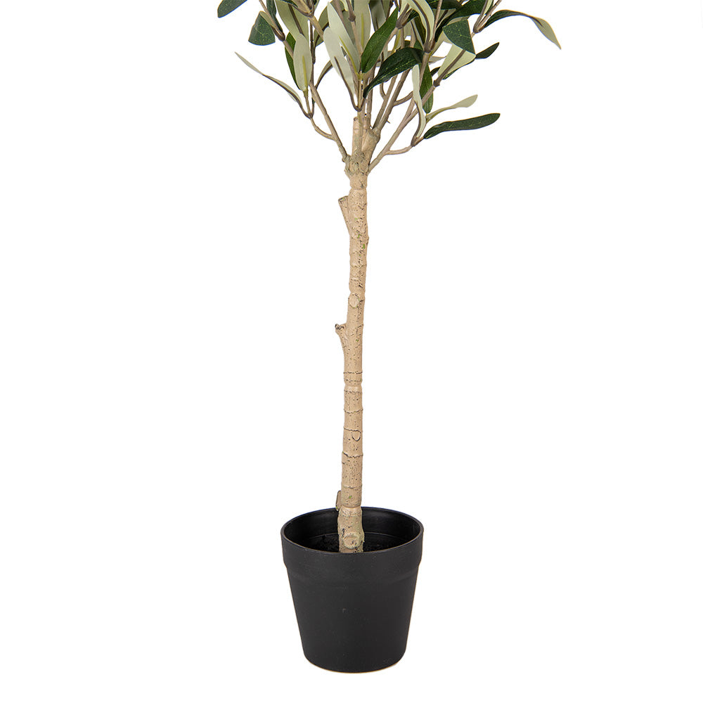 Pianta di ulivo artificiale Clayre & Eef
