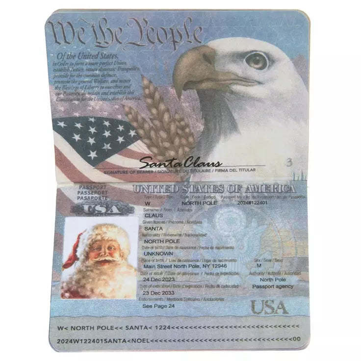 Decoro albero Passaporto di Babbo Natale