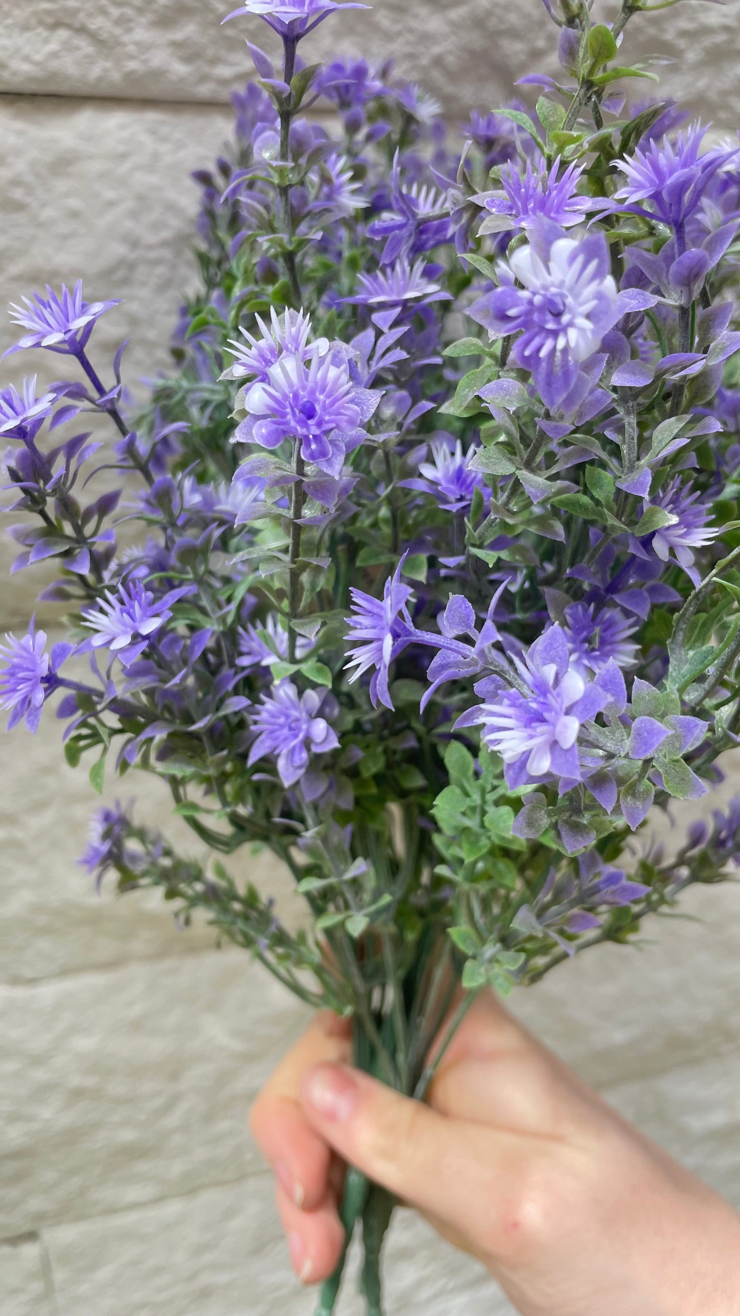 Mazzo di lavanda