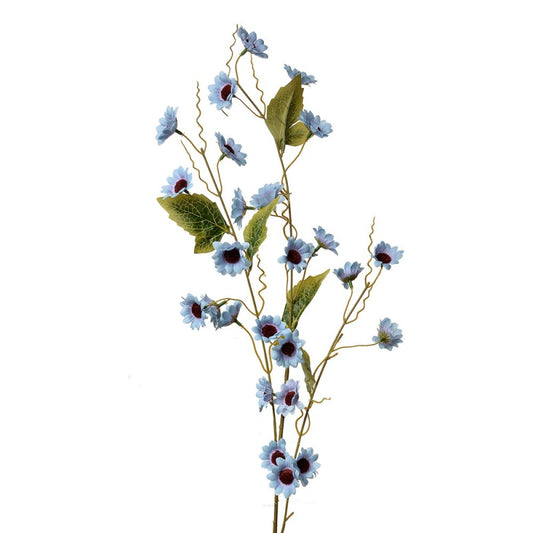 Margherite azzurre Clayre & Eef